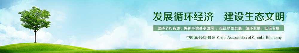 负责党建工作